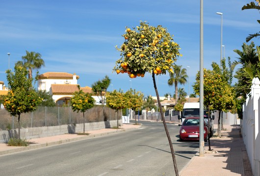 Precio de las villas en España