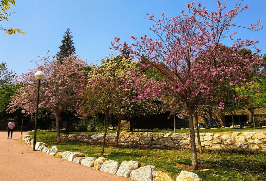 Parks von Alicante, Spanien. Finden Sie Ihren Lieblingspark in Alicante