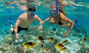 The best places in the Region of Valencia for scuba diving