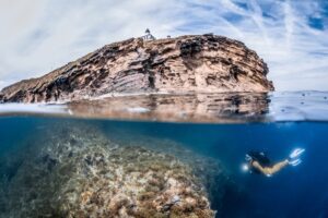 The best places in the Region of Valencia for scuba diving