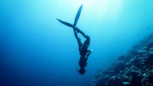 The best places in the Region of Valencia for scuba diving