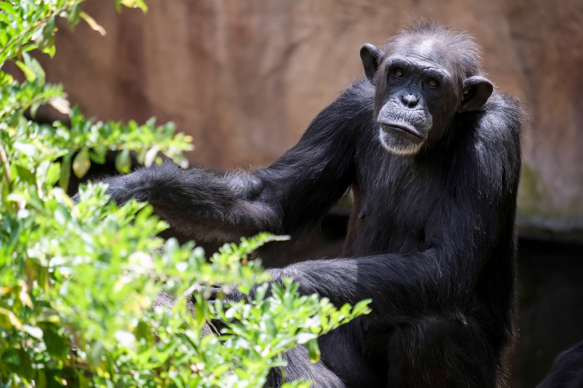 Fuengirola BioParc