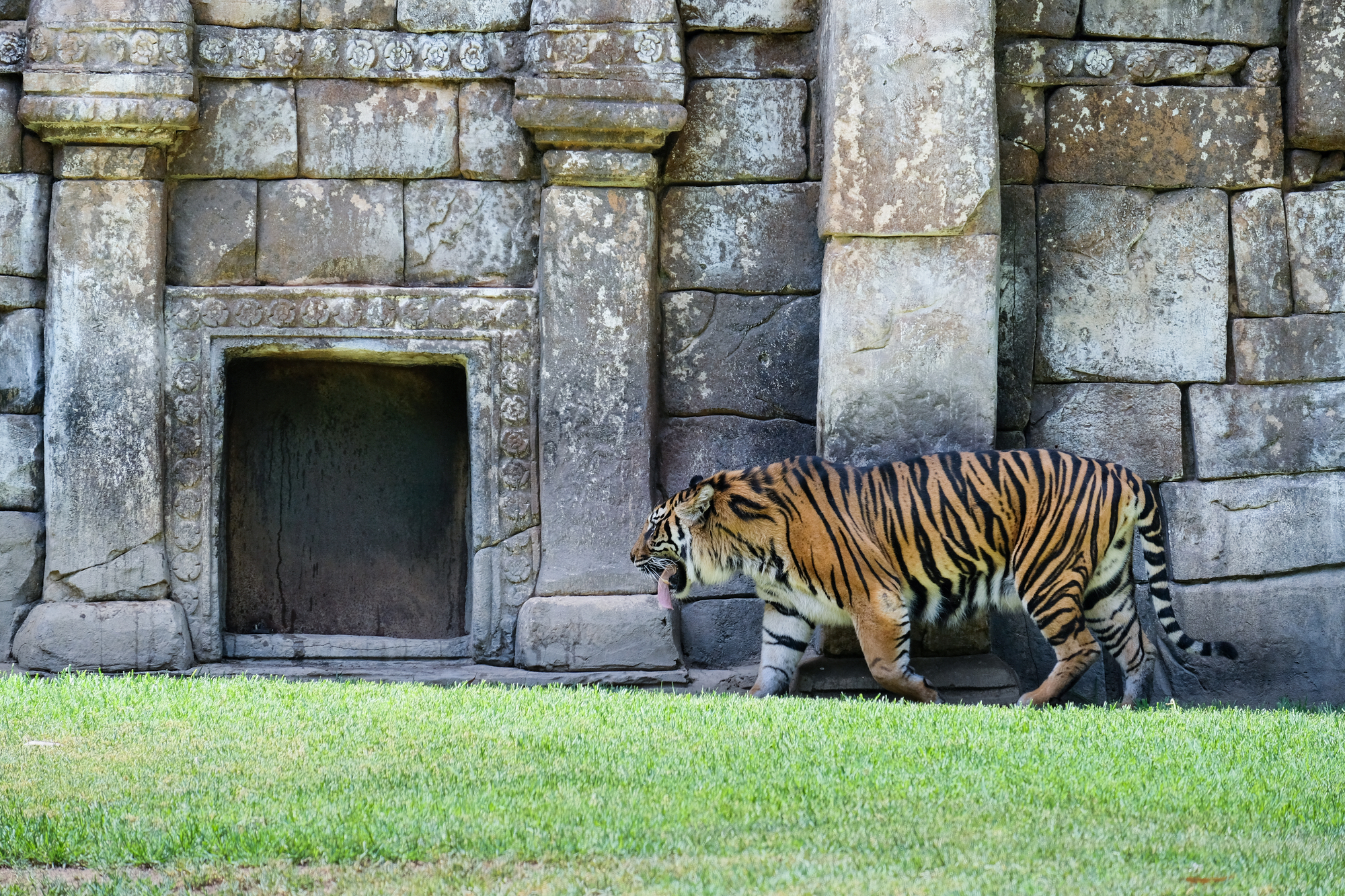 Fuengirola Zoo