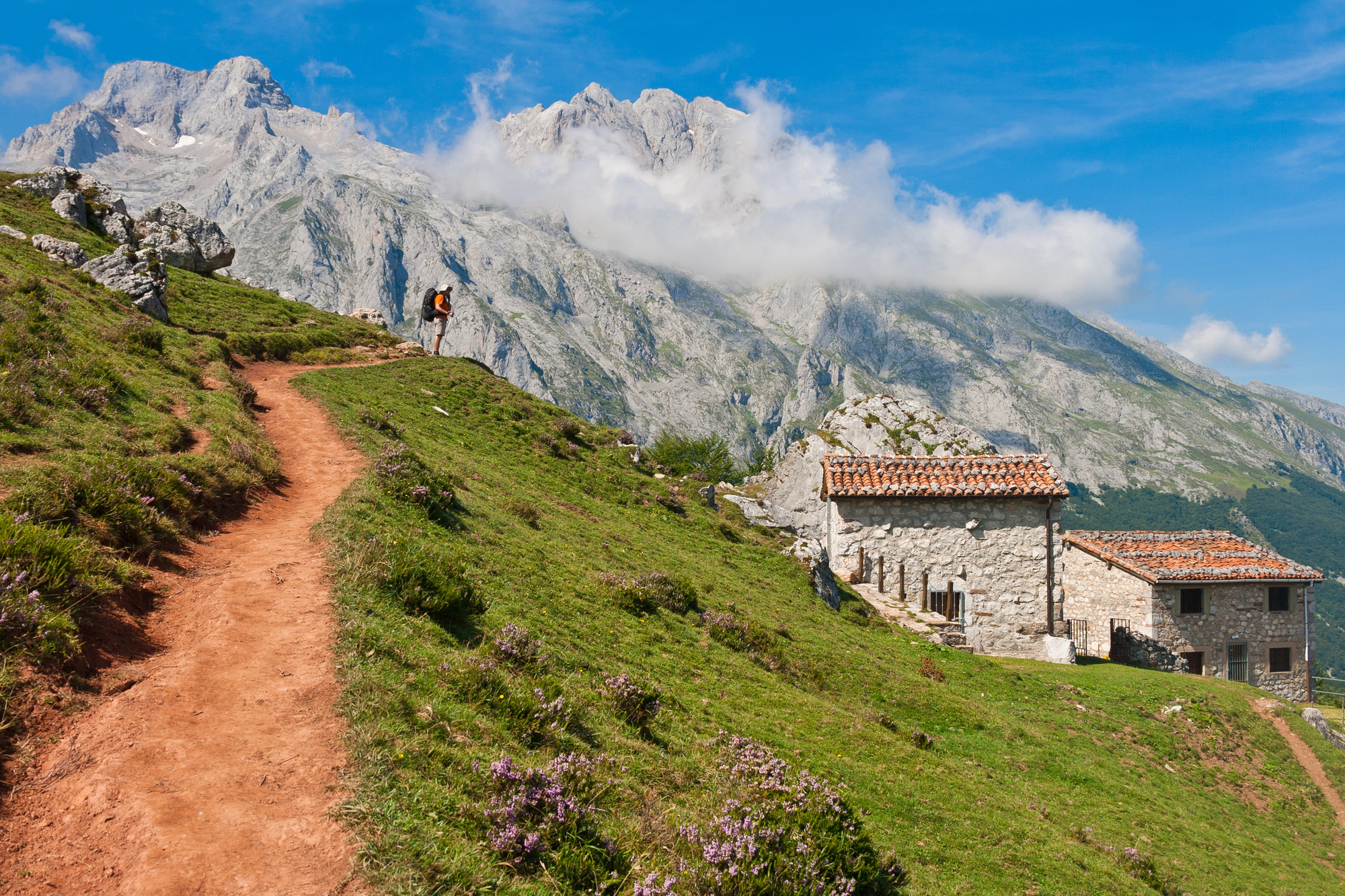 Bulnes