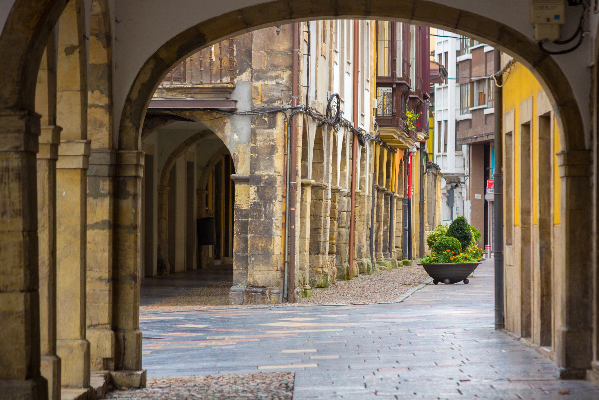 Aviles