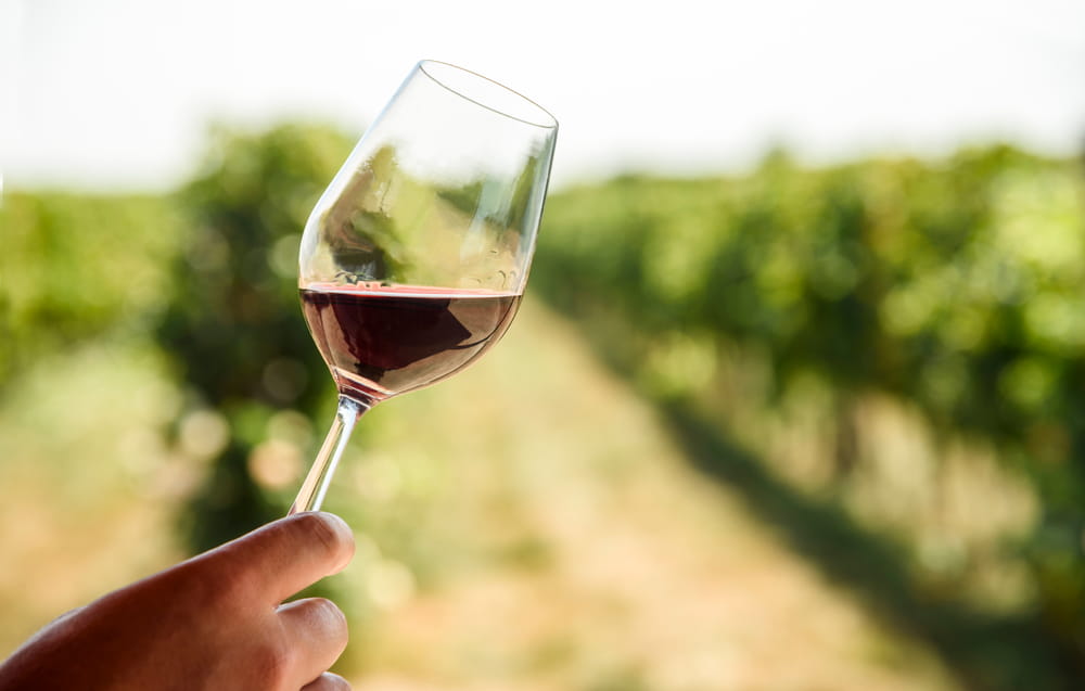 Monastrell-Wein aus Alicante und Murcia